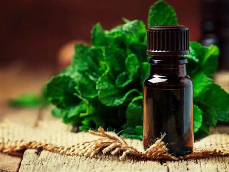 Menta Piperita Oil (Peppermint Oil)