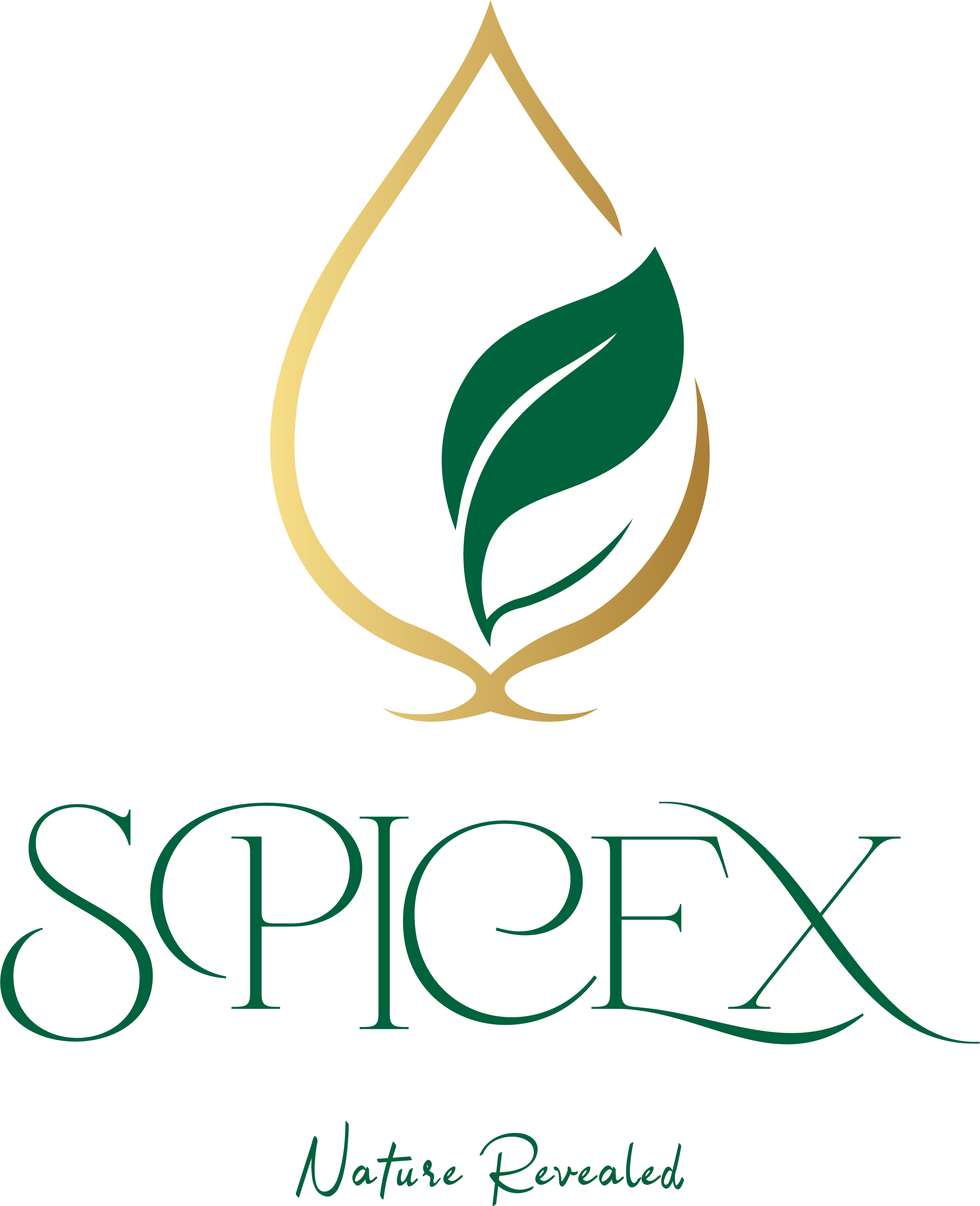 SpiceX Logo